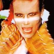 Der musikalische text VIVE LE ROCK von ADAM AND THE ANTS ist auch in dem Album vorhanden Super hits