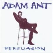 Der musikalische text SEXATISE YOU von ADAM AND THE ANTS ist auch in dem Album vorhanden Persuasion