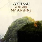 Der musikalische text YOU ARE MY SUNSHINE von COPELAND ist auch in dem Album vorhanden The grey man - ep (2009)