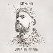 Der musikalische text SOMETHING TO BELIEVE IN von TOM WALKER ist auch in dem Album vorhanden What a time to be alive (2019)