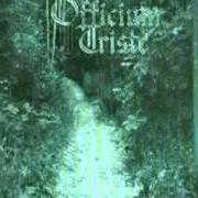 Der musikalische text FOUL PLAY von OFFICIUM TRISTE ist auch in dem Album vorhanden The pathway (2001)