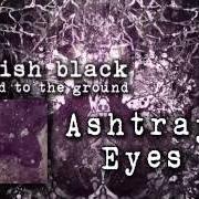 Der musikalische text RISE von PINKISH BLACK ist auch in dem Album vorhanden Razed to the ground (2013)