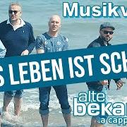 Der musikalische text DU BIST WIEDER HIER von ALTE BEKANNTE ist auch in dem Album vorhanden Das leben ist schön (2019)