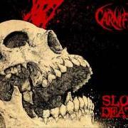 Der musikalische text COUNTESS OF THE CRESCENT MOON von CARNIFEX ist auch in dem Album vorhanden Slow death (2016)