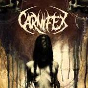 Der musikalische text NEVER FORGIVE ME von CARNIFEX ist auch in dem Album vorhanden Until i feel nothing (2011)