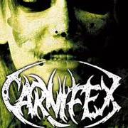 Der musikalische text INNOCENCE DIED SCREAMING von CARNIFEX ist auch in dem Album vorhanden The diseased and the poisoned (2008)