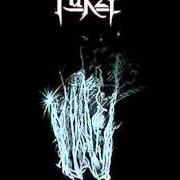 Der musikalische text NECROSAINT BLACK METAL von FURZE ist auch in dem Album vorhanden Necromanzee cogent (2003)