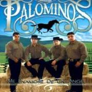 Der musikalische text CARTAS MARCADAS von LOS PALOMINOS ist auch in dem Album vorhanden Me enamore de un angel (2008)