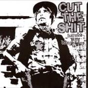 Der musikalische text YOUR NIGHT TO AN END! von CUT THE SHIT ist auch in dem Album vorhanden Harmed and dangerous (2003)