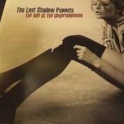 Der musikalische text BLACK PLANT von THE LAST SHADOW PUPPETS ist auch in dem Album vorhanden The age of the understatement (2008)