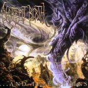 Der musikalische text ...AND TIME BEGINS von DECREPIT BIRTH ist auch in dem Album vorhanden ...And time begins (2003)