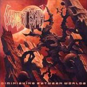 Der musikalische text ...AND TIME BEGINS von DECREPIT BIRTH ist auch in dem Album vorhanden Diminishing between worlds (2008)