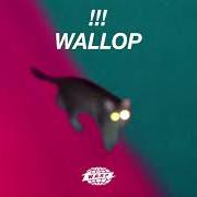 Der musikalische text COULDN'T HAVE KNOWN von !!! (CHK CHK CHK) ist auch in dem Album vorhanden Wallop (2019)