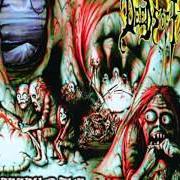 Der musikalische text RITUAL OF BATTLE von DEEDS OF FLESH ist auch in dem Album vorhanden Inbreeding the anthropophagi (1997)