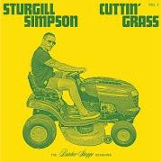 Der musikalische text WATER IN A WELL von STURGILL SIMPSON ist auch in dem Album vorhanden Cuttin' grass - vol. 1 (butcher shoppe sessions) (2020)