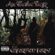 Der musikalische text ALL I KNOW von AXE MURDER BOYZ ist auch in dem Album vorhanden The unforgiven forest (2004)