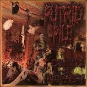 Der musikalische text MERCILESS HOMICIDE von PUTRID PILE ist auch in dem Album vorhanden Collection of butchery (2003)