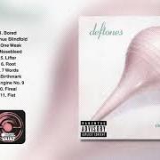Der musikalische text ROOT von DEFTONES ist auch in dem Album vorhanden Adrenaline (1995)