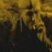 Der musikalische text CARPET BOMBING von DEINONYCHUS ist auch in dem Album vorhanden Warfare machines (2007)
