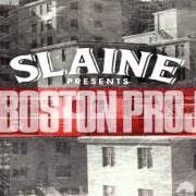 Der musikalische text BIBLE PAGES von SLAINE ist auch in dem Album vorhanden The boston project (2013)