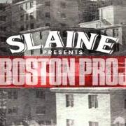 Der musikalische text EVOLUTION OF THE KID von SLAINE ist auch in dem Album vorhanden The boston project (2013)