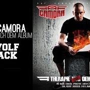 Der musikalische text INTRO von RAF CAMORA ist auch in dem Album vorhanden Therapie nach dem album (2010)