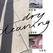 Der musikalische text HM von DRY CLEANING ist auch in dem Album vorhanden New long leg (2021)