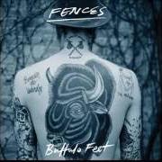 Der musikalische text BUFFALO FEET von FENCES ist auch in dem Album vorhanden To the tall trembling trees (2016)