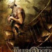 Der musikalische text DEATH IS OUR FREEDOM von THE FORESHADOWING ist auch in dem Album vorhanden Days of nothing (2007)