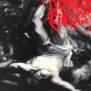 Der musikalische text CONCUBINE OF THE GODS von DEMONIC CHRIST ist auch in dem Album vorhanden Punishment for ignorance (1995)