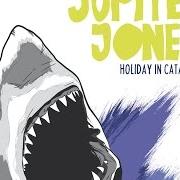 Der musikalische text DU UND JÖRG HAIDER von JUPITER JONES ist auch in dem Album vorhanden Holiday in catatonia (2009)