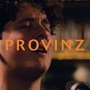 Der musikalische text ZU JUNG von PROVINZ ist auch in dem Album vorhanden Reicht dir das (2019)