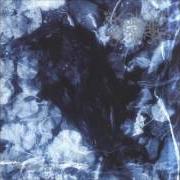 Der musikalische text A RIDE IN A DREAM CROW von DESIRE ist auch in dem Album vorhanden Pentacrow (1998)