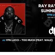 Der musikalische text THE KING von YFN LUCCI ist auch in dem Album vorhanden Ray ray from summerhill (2018)