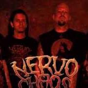 Der musikalische text TURN FACE (BRUTAL TRUTH COVER) von NERVOCHAOS ist auch in dem Album vorhanden Live rituals (2011)