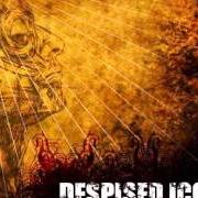 Der musikalische text IMMACULATE von DESPISED ICON ist auch in dem Album vorhanden The healing process (2005)