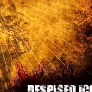 Der musikalische text AS BRIDGES BURN von DESPISED ICON ist auch in dem Album vorhanden The healing process (2005)