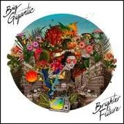 Der musikalische text HIGHLY POSSIBLE von BIG GIGANTIC ist auch in dem Album vorhanden Brighter future (2016)