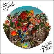 Der musikalische text ALL OF ME von BIG GIGANTIC ist auch in dem Album vorhanden Brighter future (2016)