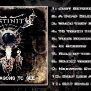 Der musikalische text WITNESS von DESTINITY ist auch in dem Album vorhanden Xi reasons to see (2010)