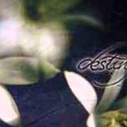 Der musikalische text AN ARDENT WISH von DESTINY ist auch in dem Album vorhanden Diving into eternity (2002)