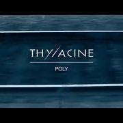 Der musikalische text CHAMAN von THYLACINE ist auch in dem Album vorhanden Transsiberian (2015)