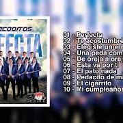 Der musikalische text PEDACITO DE MI VIDA von BANDA LOS RECODITOS ist auch in dem Album vorhanden Perfecta (2019)