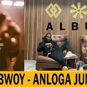Der musikalische text AFRICAN PARTY von STONEBWOY ist auch in dem Album vorhanden Anloga junction (2020)