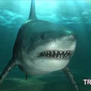 Der musikalische text ME TOO von SHY GLIZZY ist auch in dem Album vorhanden Don't feed the sharks (2021)