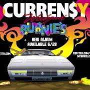 Der musikalische text THIS IS THE LIFE von CURREN$Y ist auch in dem Album vorhanden Weekend at burnie's (2011)