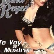 Der musikalische text ALGO MAS von DIANA REYES ist auch in dem Album vorhanden Te voy a mostrar (2007)