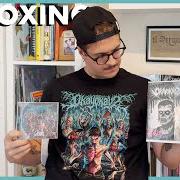 Der musikalische text X&V von ROSA CHEMICAL ist auch in dem Album vorhanden Okay okay 2 (2025)