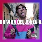 Der musikalische text TODO VA A ESTAR BIEN von DON PATRICIO ist auch in dem Album vorhanden La dura vida del joven rapero (2019)