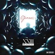 Der musikalische text PROBLÈMES von GIANNI ist auch in dem Album vorhanden Xxiii : bilan de vie (2020)
